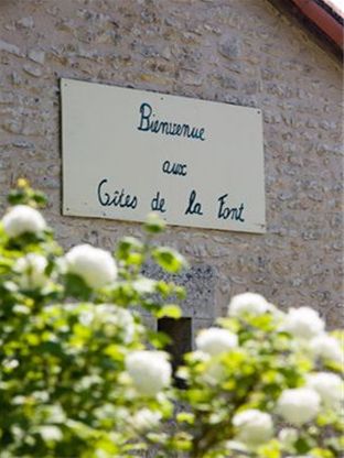 Photos